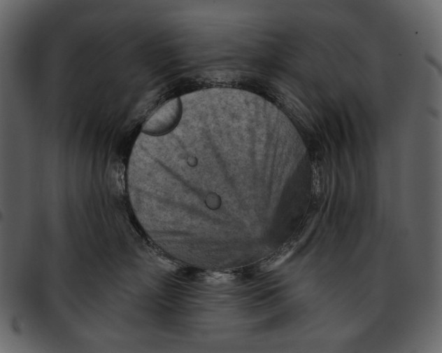 X0000096950718200802291056