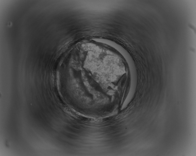 X0000096950720200802291056