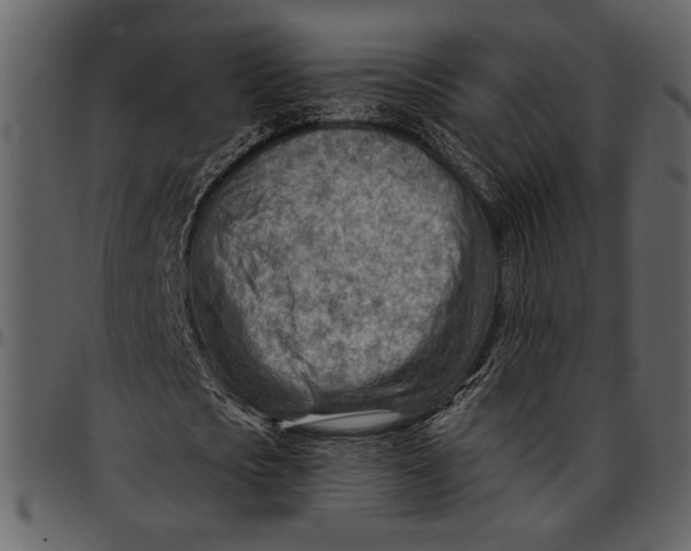 X0000096950721200802291055