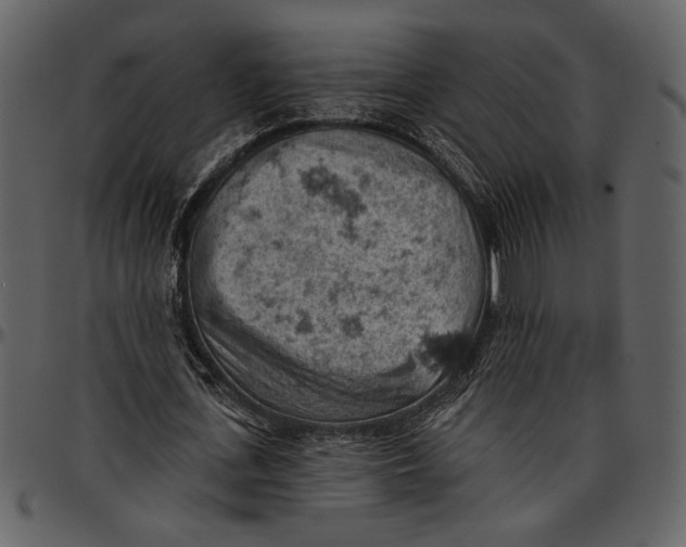 X0000096950723200802291055