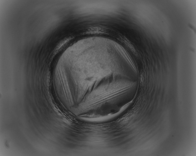 X0000096950724200802291055