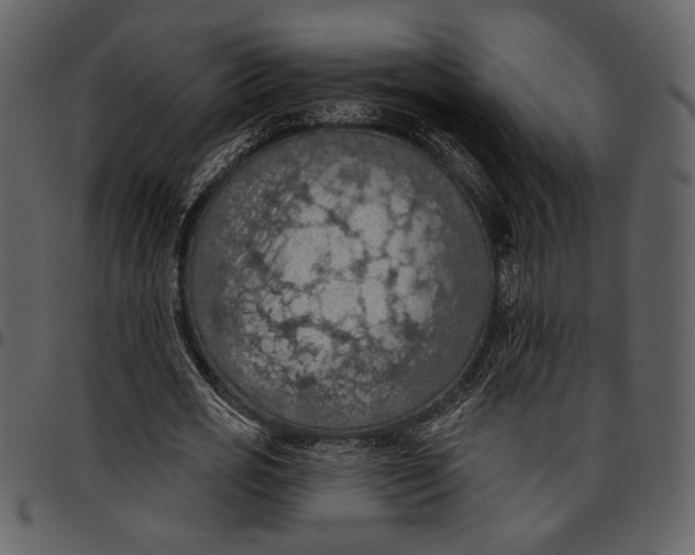 X0000096950725200802291055