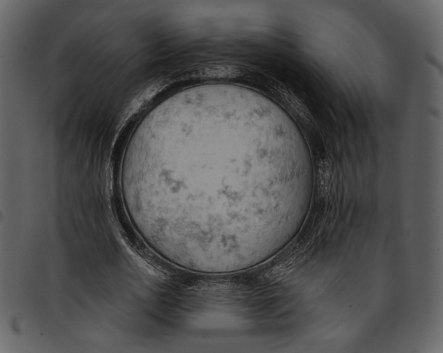 X0000096950726200802291055