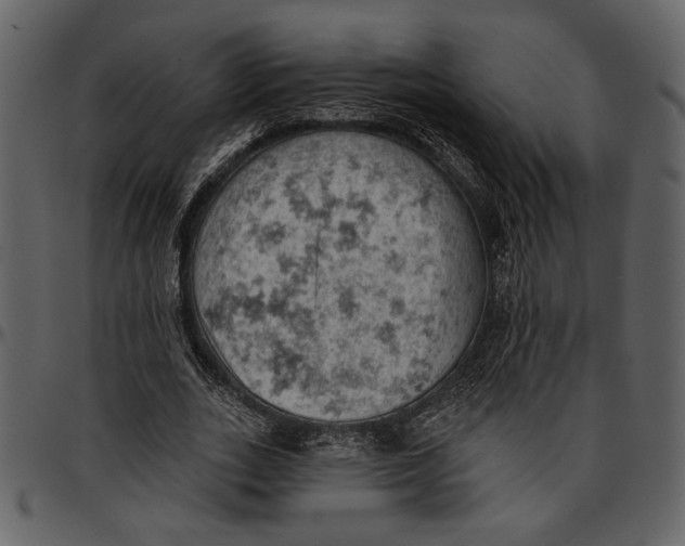 X0000096950727200802291055