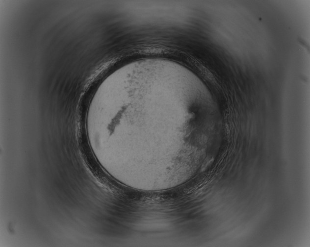 X0000096950728200802291055