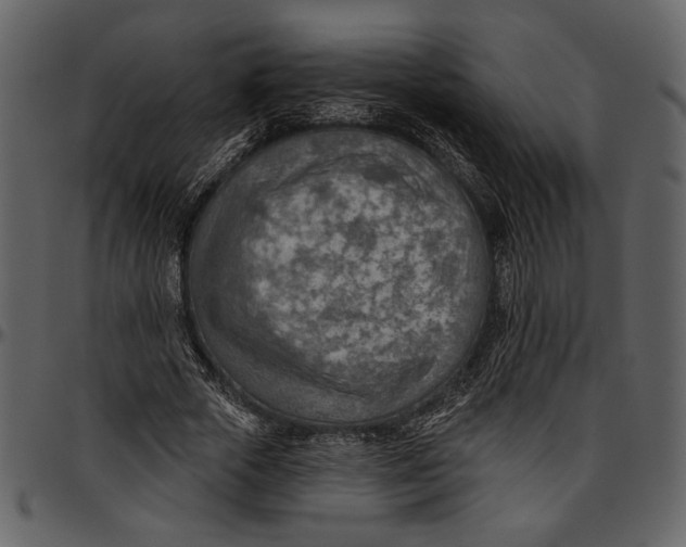 X0000096950729200802291055