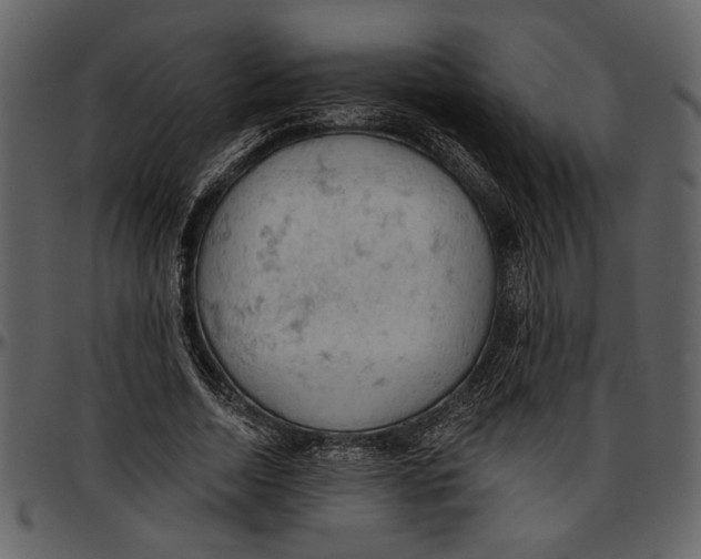 X0000096950730200802291055