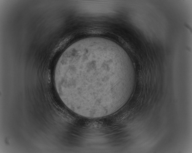 X0000096950731200802291055