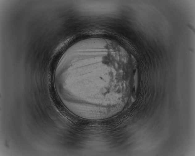 X0000096950732200802291055