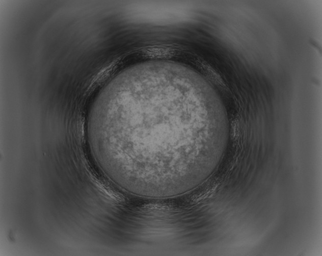 X0000096950733200802291055