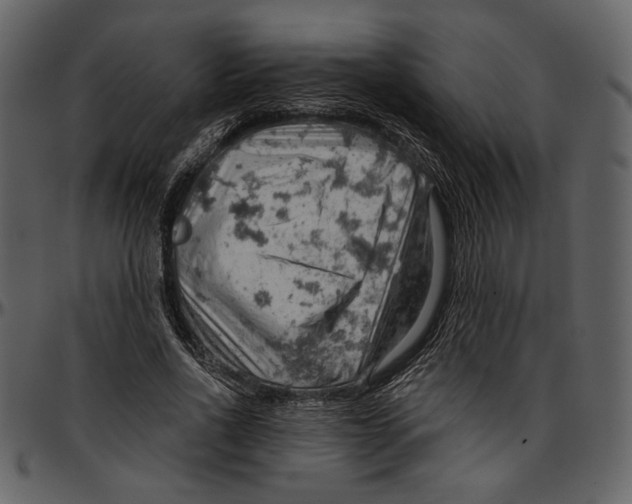 X0000096950734200802291056