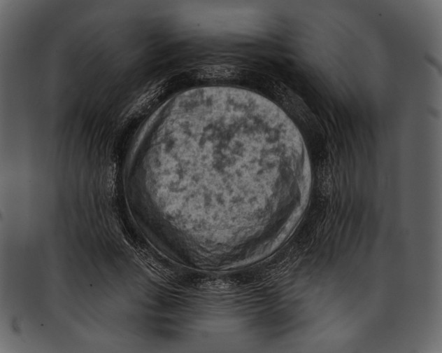 X0000096950735200802291056