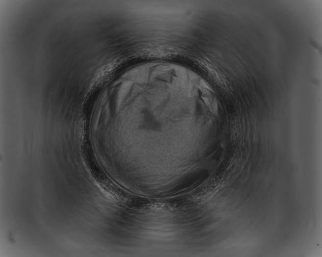 X0000096950736200802291056