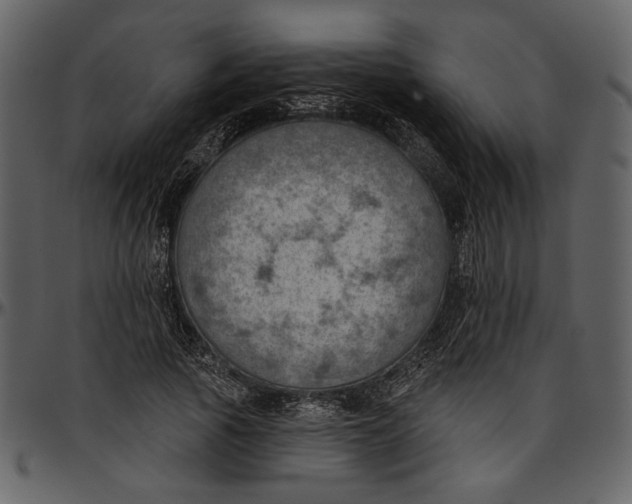 X0000096950737200802291056