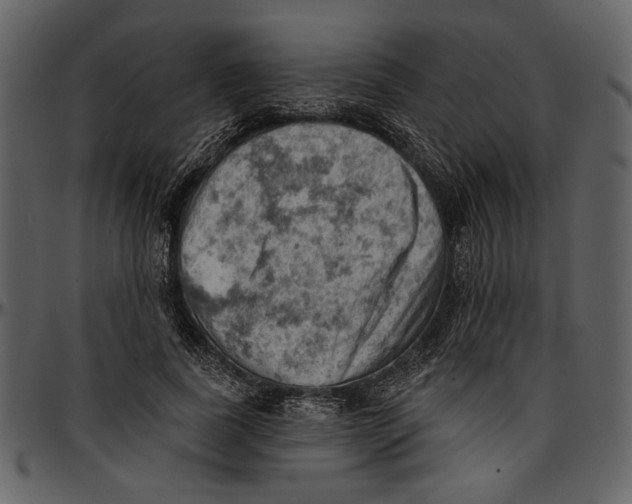 X0000096950739200802291056