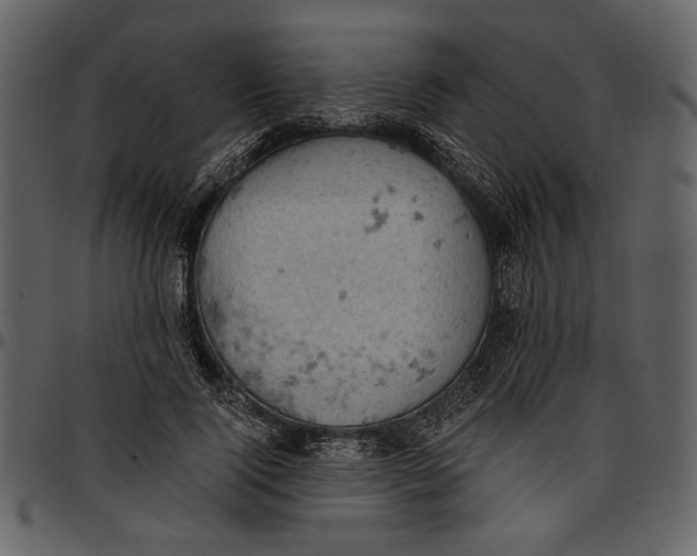 X0000096950740200802291056