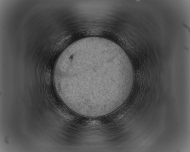 X0000096950741200802291056