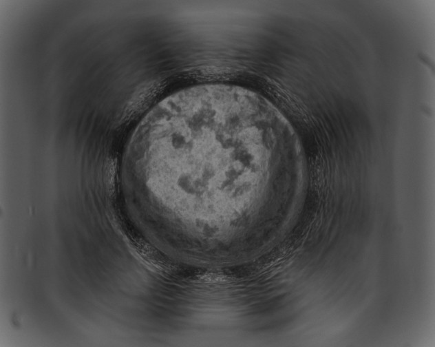 X0000096950742200802291056