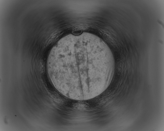 X0000096950743200802291056