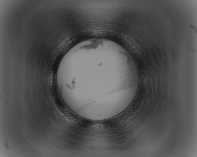 X0000096950744200802291056