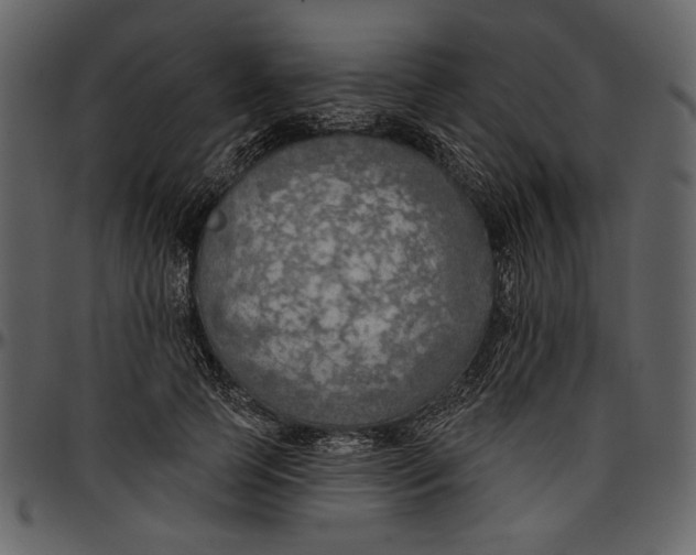 X0000096950745200802291056