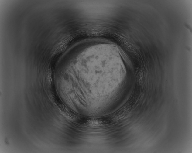 X0000096950746200802291056