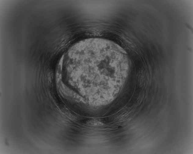 X0000096950747200802291056