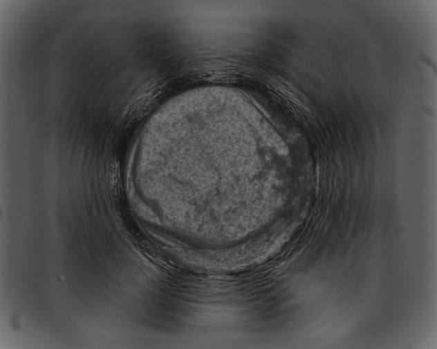 X0000096950748200802291056