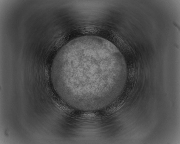 X0000096950749200802291056