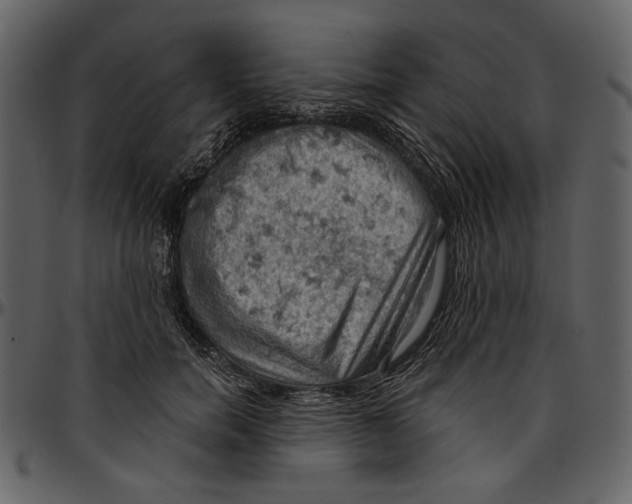 X0000096950750200802291056