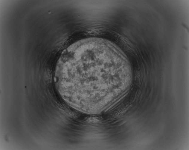 X0000096950751200802291056