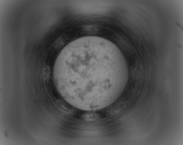 X0000096950752200802291056