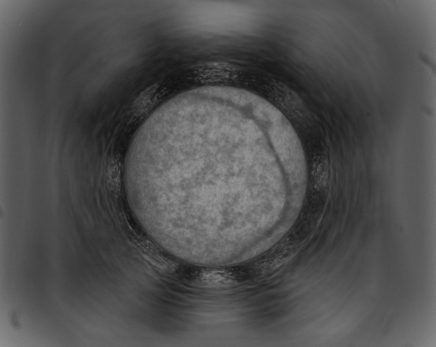 X0000096950753200802291056