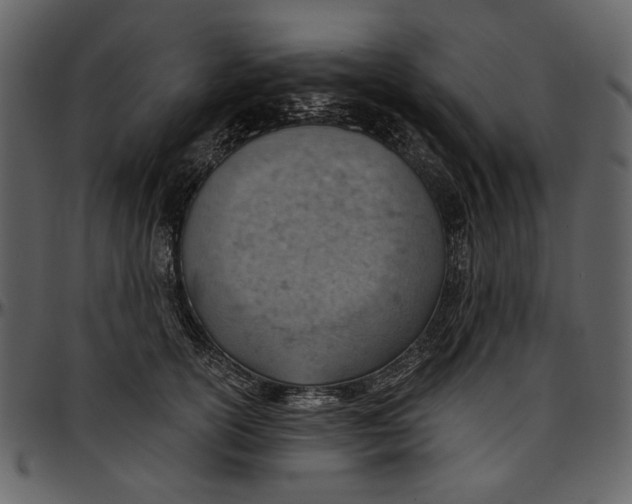 X0000096950754200802291056