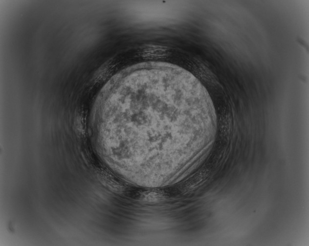 X0000096950755200802291056