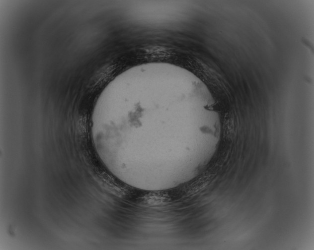 X0000096950756200802291056