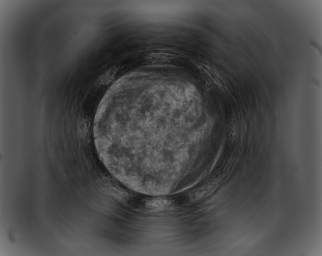 X0000096950759200802291056