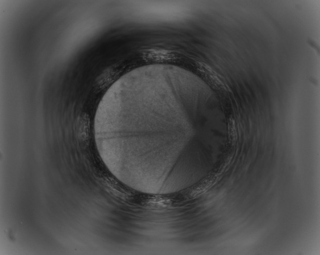 X0000096950760200802291056