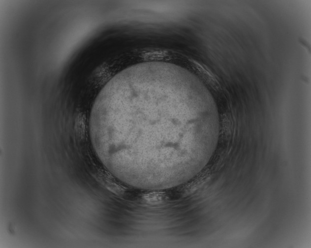 X0000096950761200802291056