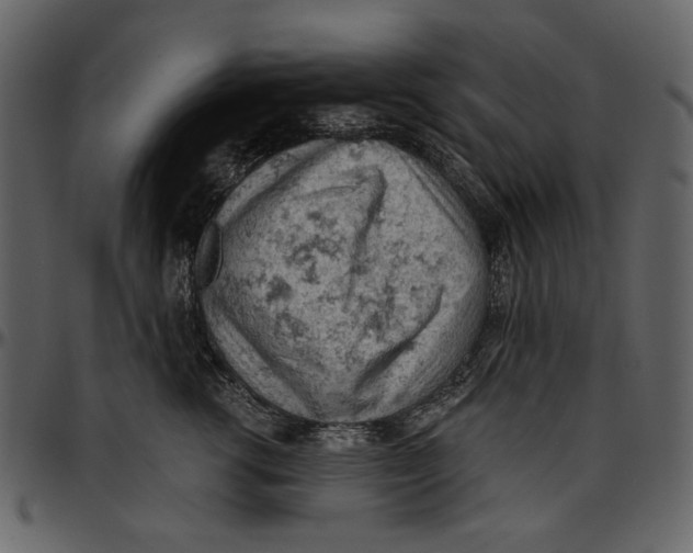 X0000096950762200802291056