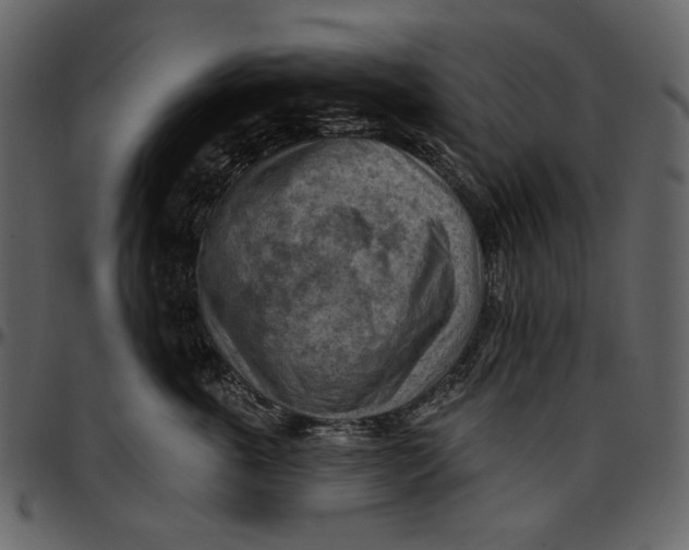 X0000096950763200802291056