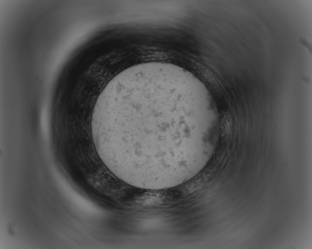 X0000096950764200802291056