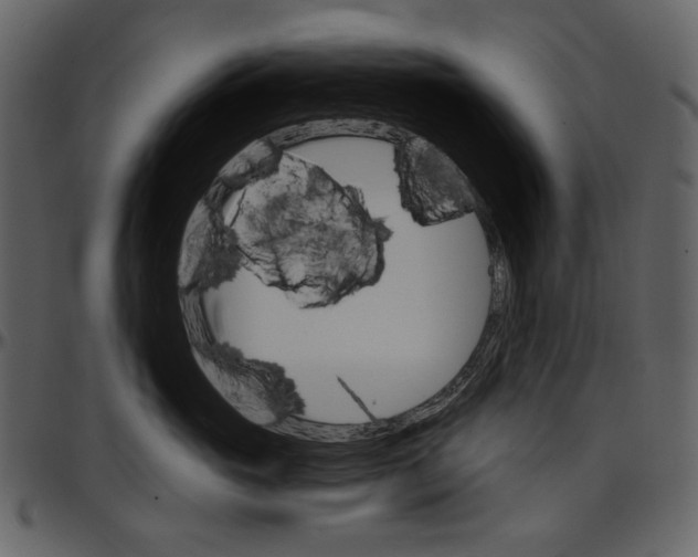 X0000096950765200802291056