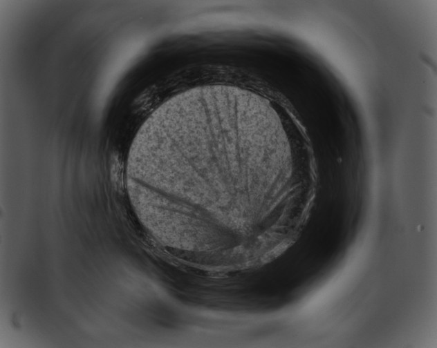 X0000096950766200802291056