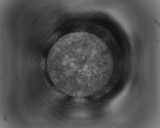 X0000096950767200802291056