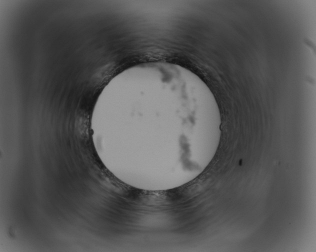 X0000096950768200802291056