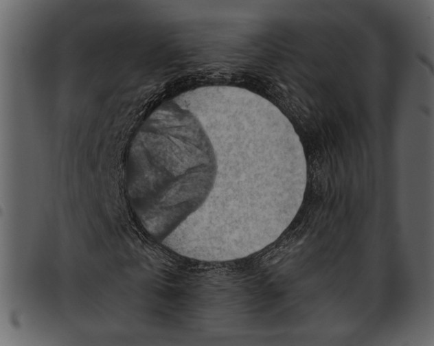 X0000096950769200802291055