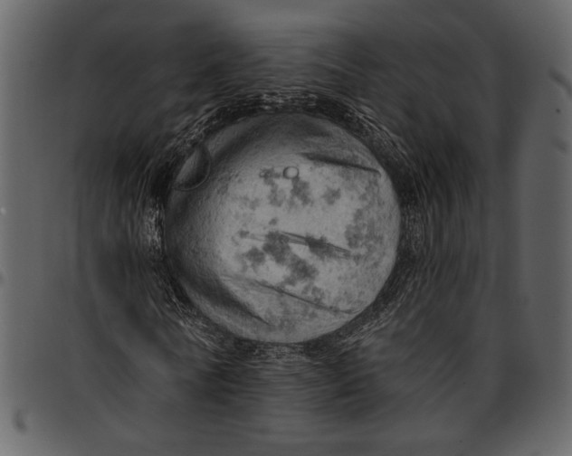 X0000096950770200802291055