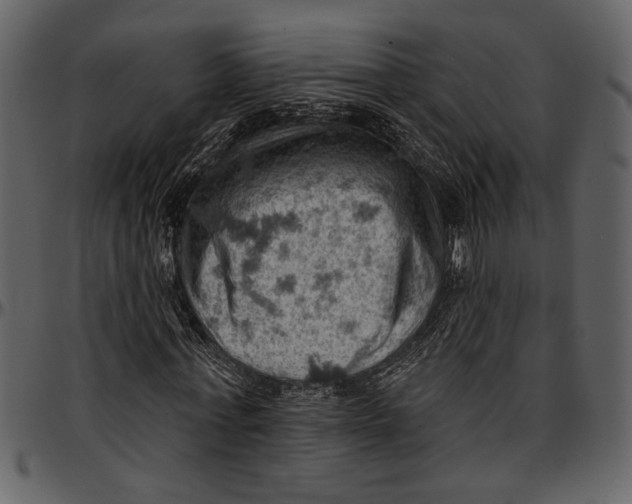 X0000096950771200802291055