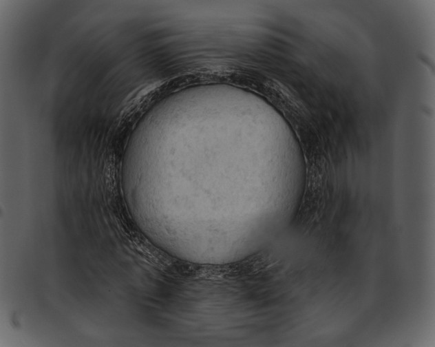 X0000096950773200802291055